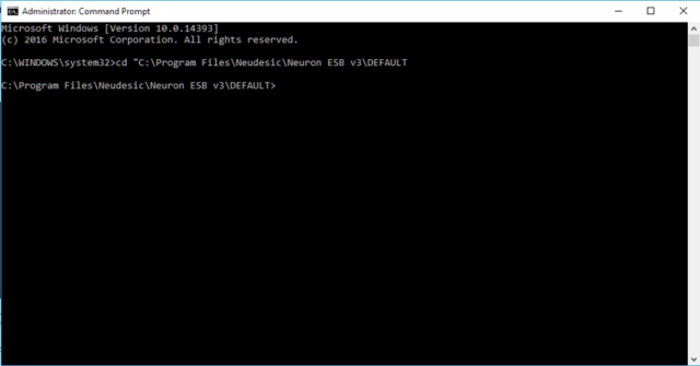 Figure 4: Change directory to the Neuron ESB instance’s installation folder