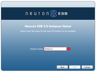 The Neuron ESB Installer Instance Name page