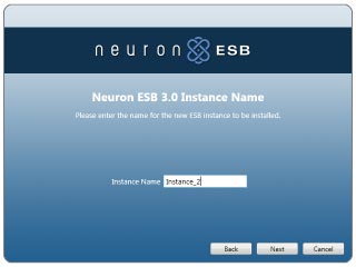 The Neuron ESB Installer Instance Name page