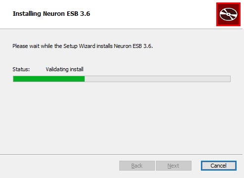 Installing Neuron ESB