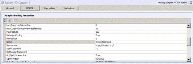 Details Pane – Binding Tab