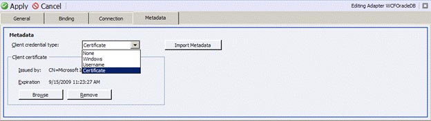 Details Pane – Metadata Tab